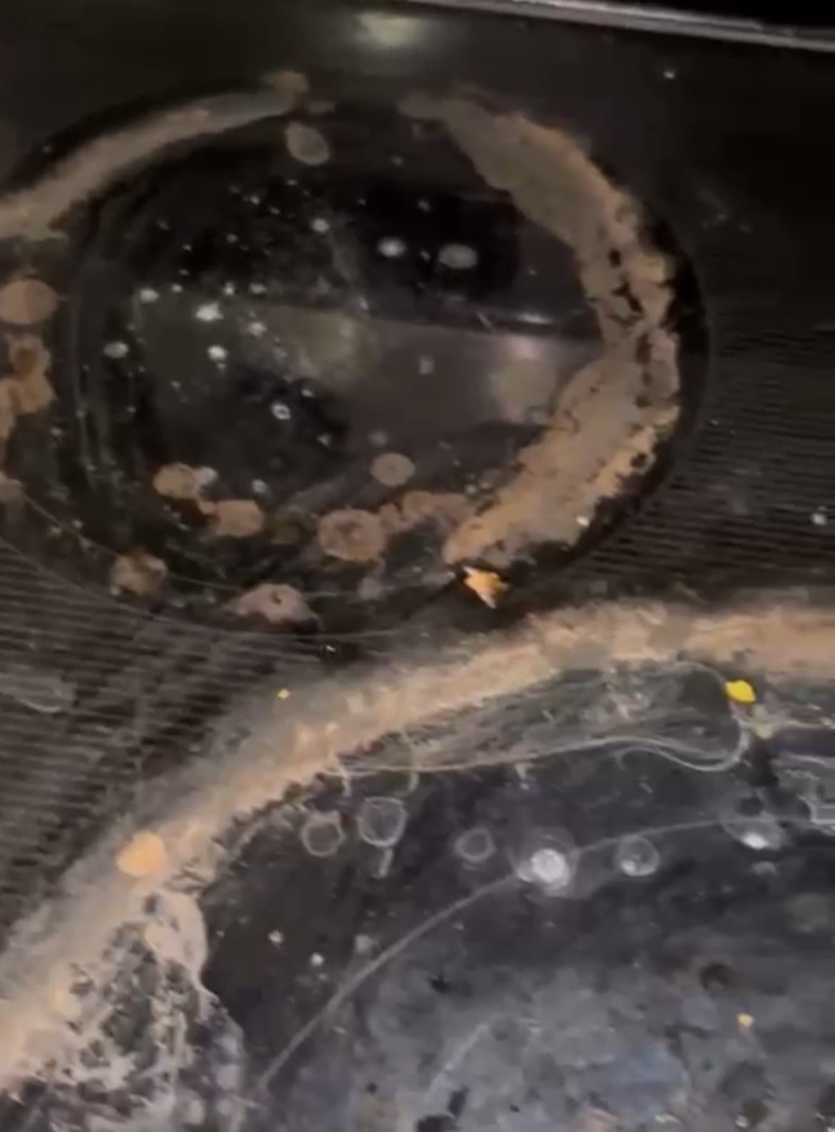 Dirty black glass stovetop with thick, crusty brown residue and white spots around burners.